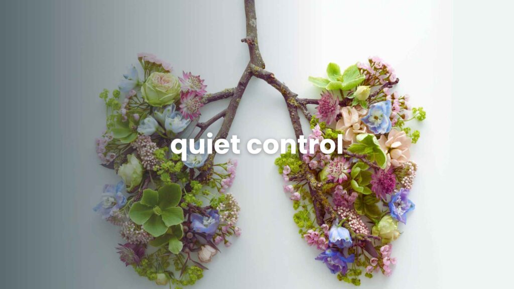 Quiet Control