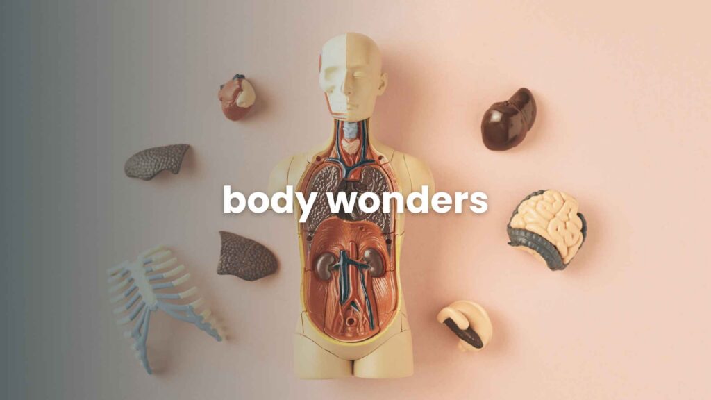 Body Wonders