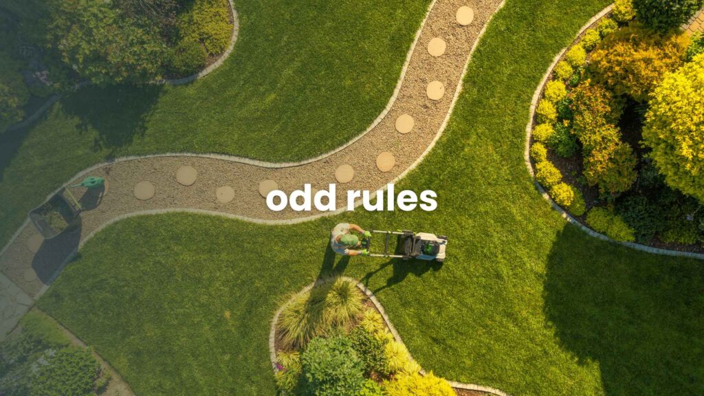 Odd Rules