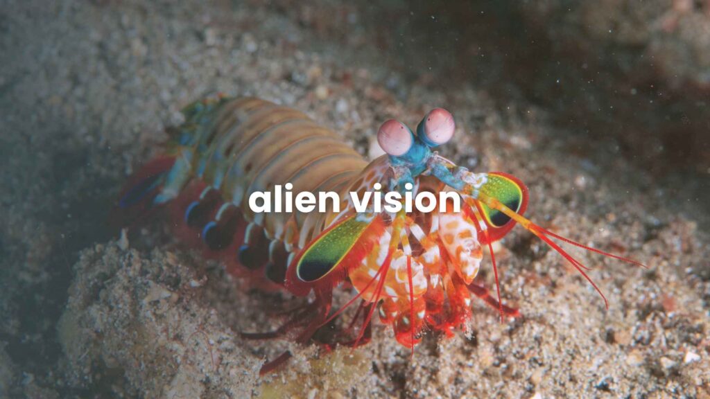 Alien Vision