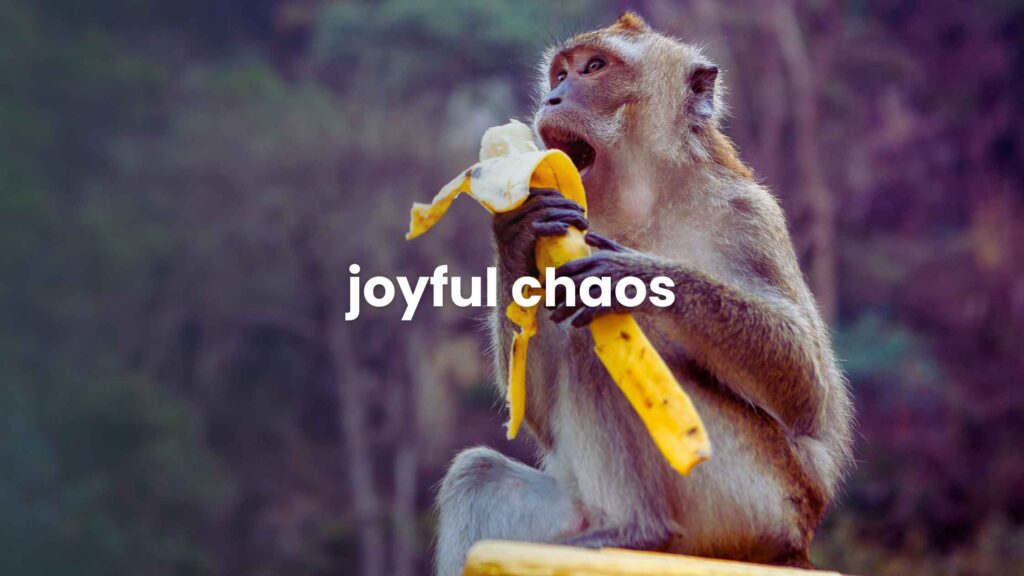Joyful Chaos
